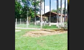 Imagem 3: 2,36 alqueires - cultura