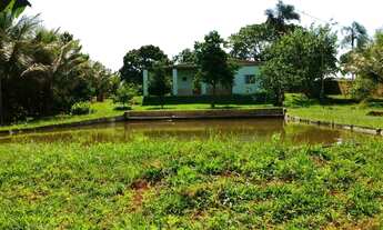 Imagem: Fazenda/Sítio/Chácara para venda com 12000