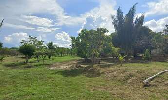 Imagem 4: Vende-se Chácara com 30.000 m2