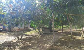 Imagem 6: Vende-se Chácara com 30.000 m2