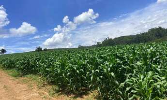 Imagem 4: Vendo -12 alqueires em Guararema