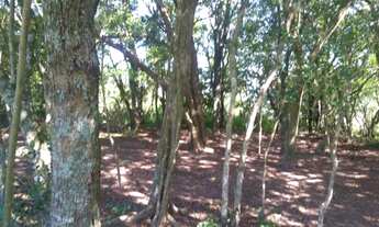 Imagem 7: Incrível Área de de terra com 3.2 hectares na Zona Rural de Glorinha, RS