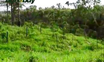 Imagem 2: Fazenda 1033 Alqueires em Dianópolis to