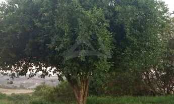 Imagem 6: Terreno - Loteamento Caminhos de São Conrado (Sousas) - Campinas