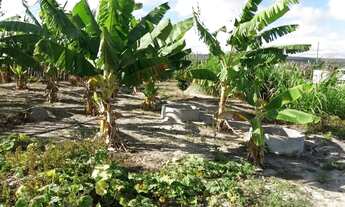 Imagem 3: Sítio em Vitória da Conquista-BA