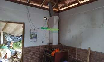 Imagem 6: Sítio com pomar em Marmelópolis - MG