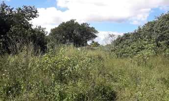 Imagem 3: Terreno em Araruama com 7.000 m2 Oportunidade