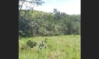 Imagem 3: Terra 5,5 Alqueires, formada, boa de água, possui casa, curral, energia