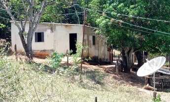 Imagem 3: Fazenda com 30 hectares na beira do rio descoberto troca perto de Brasília
