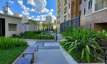 Imagem: Apartamento - Vila Itapura - Campinas