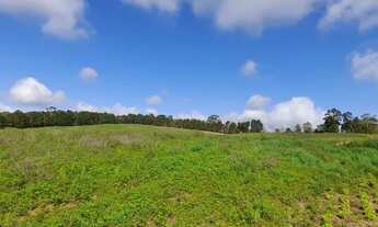 Imagem 3: Lote/Terreno para venda com 500 metros quadrados em Centro - Cotia - SP