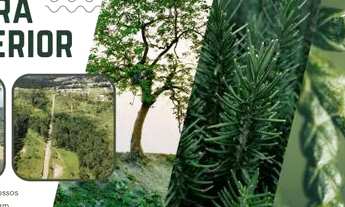 Imagem: Lotes em Condomínio com documento Cd. WCC