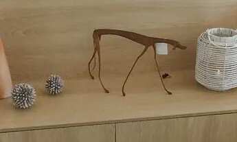 Imagem 3: Alugo apto 1 dormitório