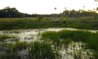 Imagem 5: Vendo terreno no km12