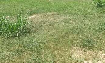 Imagem: Jacarei - Loteamento/Condomínio - Condominio