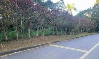 Imagem 3: Venda Terreno / lote com venda por R$350.000