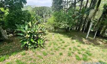 Imagem 3: CASA TÉRREA - JARDIM SANTO ANTÔNIO - SP