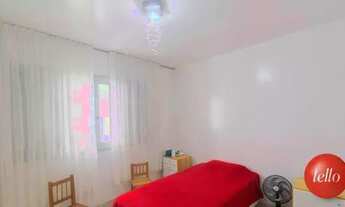 Imagem 7: São Paulo - Casa Padrão - Vila Madalena