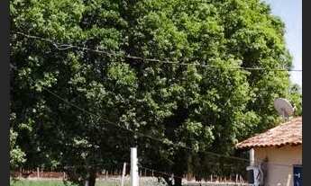 Imagem 3: Sítio com 22.800m2 em Bady Bassitt