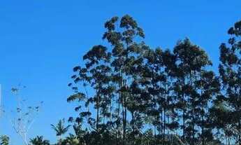 Imagem 3: LOTEAMENTO ALAMEDA CEZANNE TERRENO À VENDA