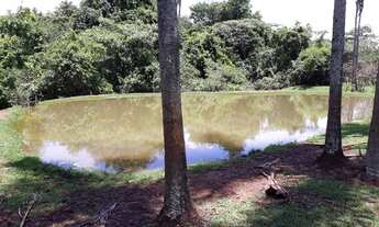 Imagem 3: Sítio próximo Uberlândia