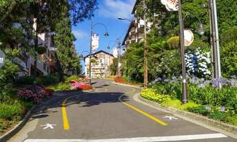 Imagem 6: Terreno - Bairro Caracol