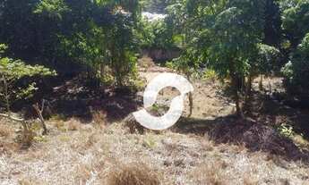 Imagem 5: Terreno à venda, 4187 m² por R$ 1.000.000,00 - Pendotiba - Niterói/RJ