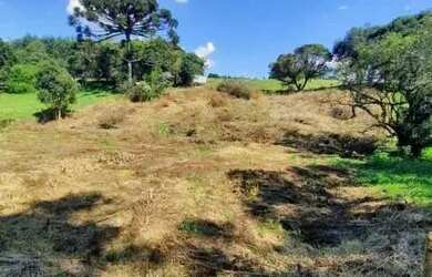 Imagem 10: Terreno Centro Carlos Barbosa