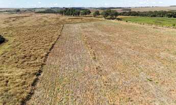 Imagem 3: Fazenda para lavoura a venda em Anápolis - GO