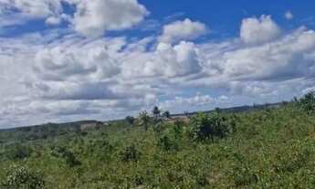 Imagem 2: Terreno para Venda em Alagoinhas, Centro