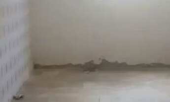 Imagem 7: Casa pra vender e alugar alecrim rua Borborema