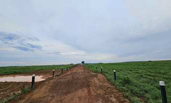 Imagem 3: Fazenda à venda 500 alqueires em Baliza-Go