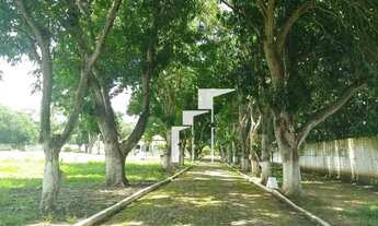 Imagem 6: Chácara Dutraville