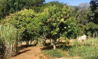 Imagem 5: VENDO FAZENDA 13.1 HECTARES - OPORTUNIDADE