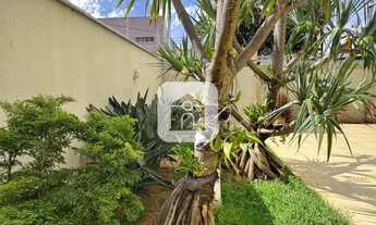 Imagem 4: Apartamento para venda no bairro Martins