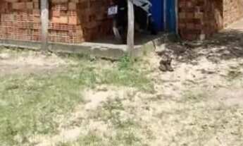 Imagem: Terreno com Casa