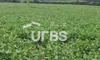 Imagem 2: Fazenda, Municipio Vila Propicio, 535 alqueires, podendo dividir e fechar apenas 300 alque