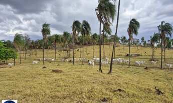 Imagem: Oportunidade Única! Fazendinha à Venda