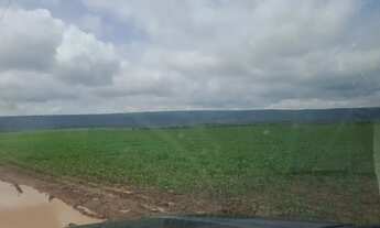 Imagem 4: Fazenda 800 hec em Rosário do Oeste MT. 14 milhões