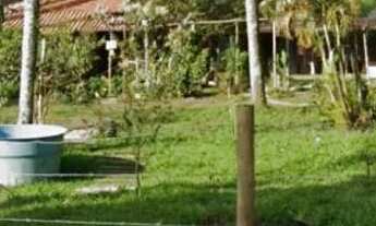 Imagem 7: Terreno de 2000 metros quadrados a 50 metros da rodovia índio Tibiriçá