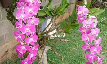 Imagem 3: Chácara à venda com 3 dormitórios, 1147 m² por R$ 850.000 - Chácaras Itália - Cosmópolis/S