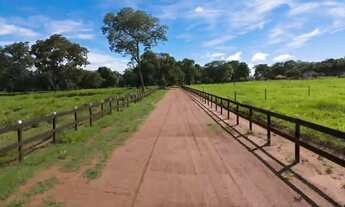 Imagem 6: A JOIA DO TRIÂNGULO MINEIRO: 388 HECTARES DE PURA TECNOLOGIA E PRODUTIVIDADE!