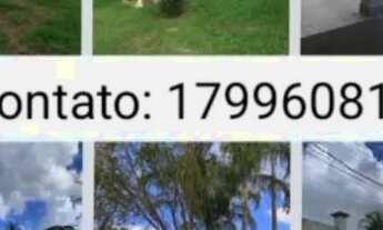 Imagem 4: Chácara c/Usina Fotovoltaica homologada