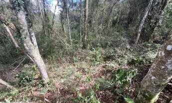 Imagem 7: Vendo lote de 361,59M² com simples acesso a repressa - Loteamento Saveiros