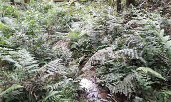 Imagem 2: Chácara na roseira de campo largo sjp