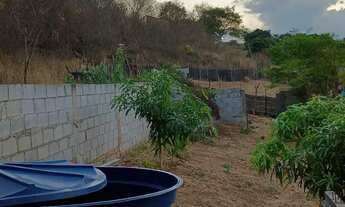 Imagem 7: Terreno pronto pra chácara