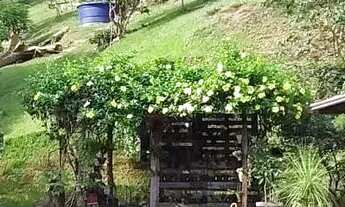 Imagem 4: Casa em Rua João Gottardi - Espinheiros - Itajaí/SC