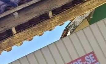 Imagem: Casa à venda no Jardim Novo Horizonte