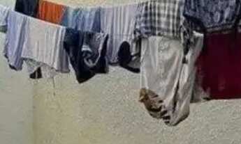 Imagem 5: Ótima casa disponível no Filipinho