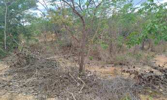 Imagem 2: Chácara 1000 m², excelente oportunidade